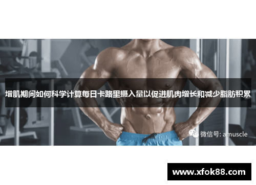 增肌期间如何科学计算每日卡路里摄入量以促进肌肉增长和减少脂肪积累