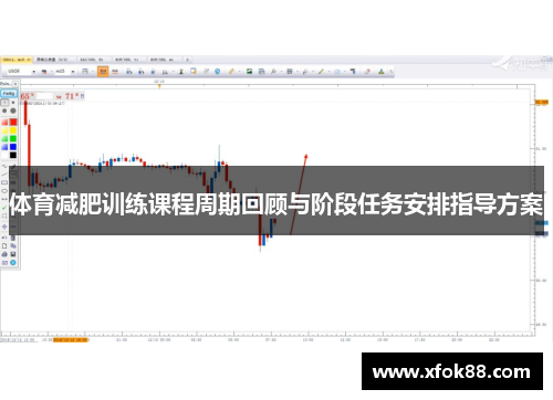 体育减肥训练课程周期回顾与阶段任务安排指导方案