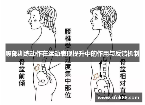腹部训练动作在运动表现提升中的作用与反馈机制